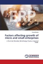 Factors affecting growth of micro and small enterprises