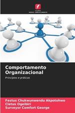 Comportamento Organizacional