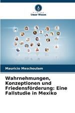 Wahrnehmungen, Konzeptionen und Friedensf?rderung: Eine Fallstudie in Mexiko