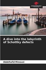 A dive into the labyrinth of Schottky defects