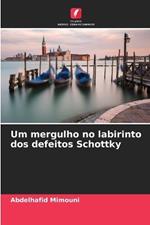 Um mergulho no labirinto dos defeitos Schottky