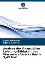 Analyse der finanziellen Leistungsf?higkeit des Wasserkraftwerks Peshk 3,43 MW