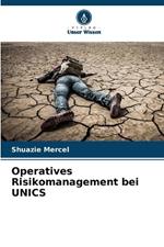 Operatives Risikomanagement bei UNICS