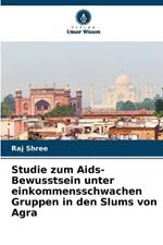 Studie zum Aids-Bewusstsein unter einkommensschwachen Gruppen in den Slums von Agra