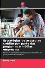 Estrat?gias de acesso ao cr?dito por parte das pequenas e m?dias empresas