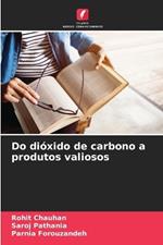 Do di?xido de carbono a produtos valiosos