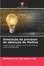 Simula??o do processo de obten??o de Maltina