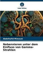 Nebennieren unter dem Einfluss von Gamma-Strahlen