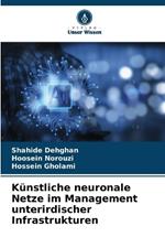 K?nstliche neuronale Netze im Management unterirdischer Infrastrukturen
