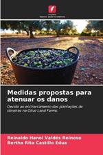 Medidas propostas para atenuar os danos