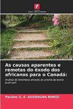 As causas aparentes e remotas do ?xodo dos africanos para o Canad?