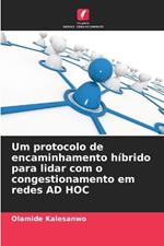 Um protocolo de encaminhamento h?brido para lidar com o congestionamento em redes AD HOC