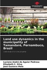 Land use dynamics in the municipality of Tamandar?, Pernambuco, Brazil