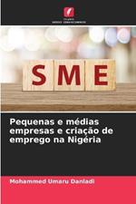 Pequenas e m?dias empresas e cria??o de emprego na Nig?ria