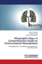 Attapulgite Clays: A Comprehensive Guide to Environmental Remediation