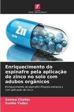 Enriquecimento do espinafre pela aplica??o de zinco no solo com adubos org?nicos