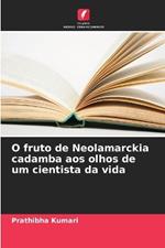 O fruto de Neolamarckia cadamba aos olhos de um cientista da vida