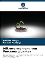 Mikrovermehrung von Furcraea gigantea