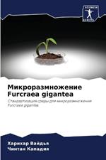 ???????????????? Furcraea gigantea