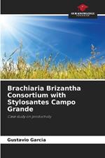 Brachiaria Brizantha Consortium with Stylosantes Campo Grande