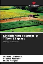 Establishing pastures of Tifton 85 grass