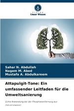 Attapulgit-Tone: Ein umfassender Leitfaden f?r die Umweltsanierung