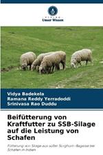 Beif?tterung von Kraftfutter zu SSB-Silage auf die Leistung von Schafen