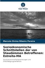 Sozio?konomische Schnittstellen der von Staud?mmen Betroffenen: Estreito-MA