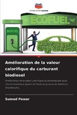 Am?lioration de la valeur calorifique du carburant biodiesel