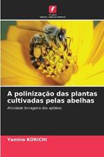 A polinização das plantas cultivadas pelas abelhas