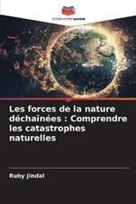 Les forces de la nature déchaînées: Comprendre les catastrophes naturelles