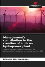 Management's contribution to the creation of a micro-hydropower plant