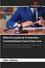 Effective Judicial Protection: Constitutional Court Case Law