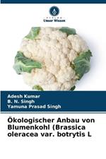 Ökologischer Anbau von Blumenkohl (Brassica oleracea var. botrytis L