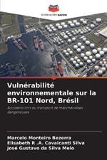 Vulnérabilité environnementale sur la BR-101 Nord, Brésil