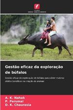 Gestão eficaz da exploração de búfalos