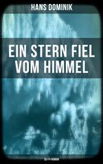 Ein Stern fiel vom Himmel (Sci-Fi-Roman)