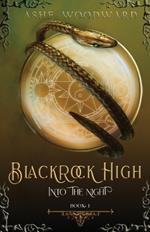 Blackrock High: Into the Night (The Blackrock High Trilogy: Book One)