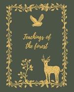 Teachings of the Forest