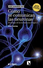 Cómo se comunican las neuronas