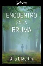 Encuentro en la bruma