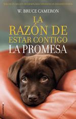 La razón de estar contigo 3 - La promesa