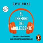 El cerebro del adolescente