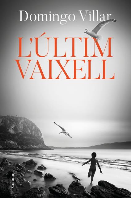 L'últim vaixell - Domingo Villar,Núria Parés Sellarés - ebook