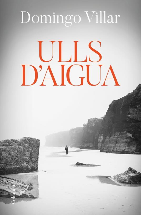 Ulls d'aigua - Domingo Villar,Pau Joan Hernández - ebook