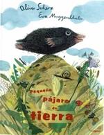 Pequeño pájaro de tierra