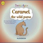 Caramel, the wild puma