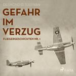 Gefahr im Verzug - Fliegergeschichten, Nr. 1 (Ungekürzt)