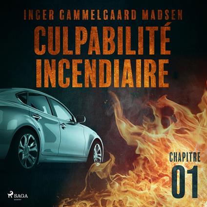 Culpabilité incendiaire - Chapitre 1