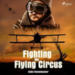 Fighting the Flying Circus